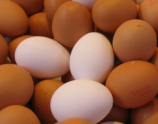 Крос і вік курей впливають на якість яйця